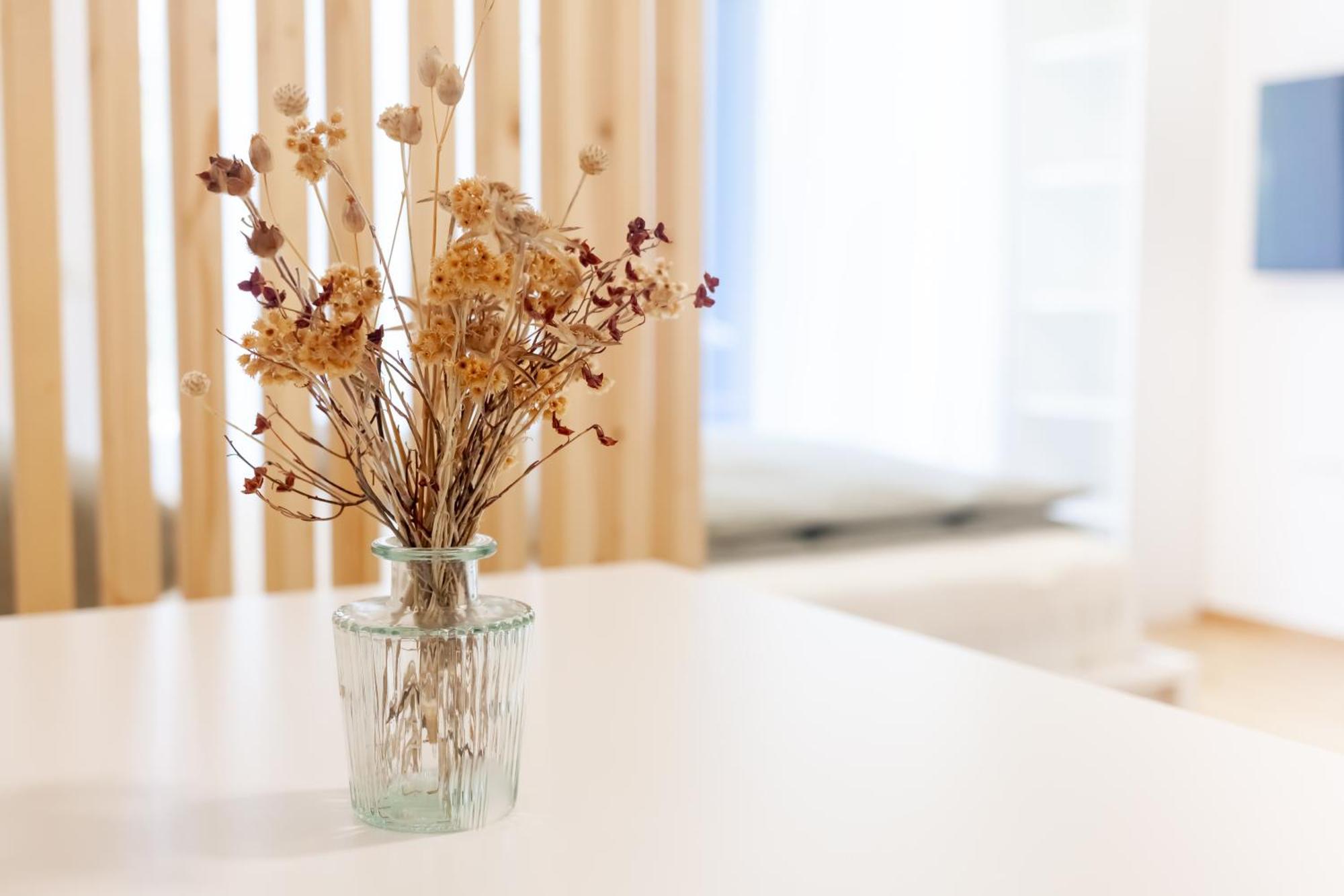 The Nest Apartment Bled Centre 외부 사진